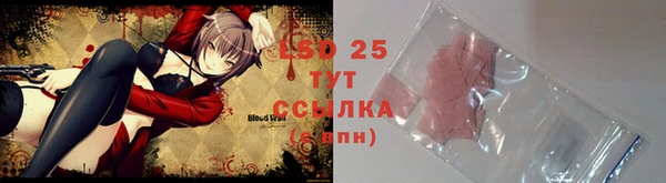 ГАЛЛЮЦИНОГЕННЫЕ ГРИБЫ Балабаново