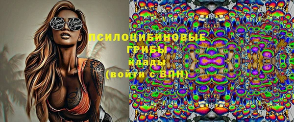ГАЛЛЮЦИНОГЕННЫЕ ГРИБЫ Балабаново
