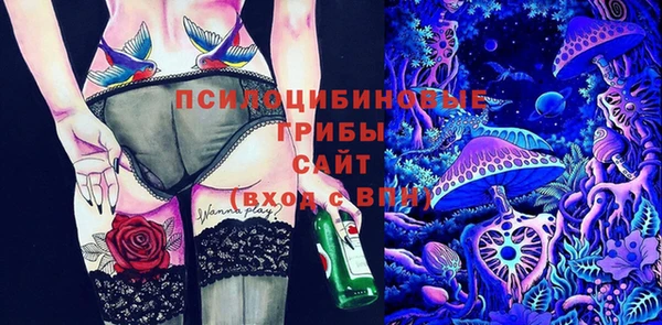 ГАЛЛЮЦИНОГЕННЫЕ ГРИБЫ Балабаново